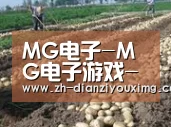 种植基地七(图1)