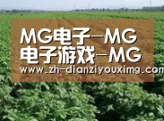 种植基地五(图1)