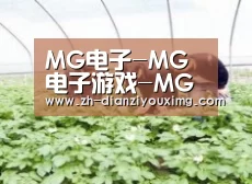 种植基地三