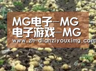 种植基地七