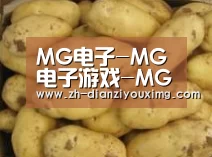 产品展示标题6